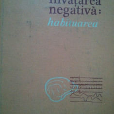 Radu Rogozea - Invatarea negativa (1982)