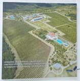 DOMENIUL VILA DOBRUSA - CRAMA AVINCIS de ALEXANDRU BELDIMAN ... VALERIU STOICA , 2025 * TEXT IN LIMBILE ROMANA , ENGLEZA SI FRANCEZA