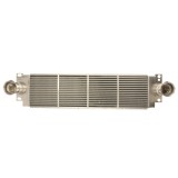 Radiator intercooler VW TRANSPORTER V bus (7HB, 7HJ, 7EB, 7EJ, 7EF, 7EG, 7HF, 7EC) (2003 - 2016) THERMOTEC DAW007TT