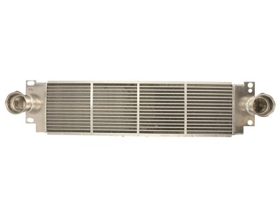 Radiator intercooler VW TRANSPORTER V platou / sasiu (7JD, 7JE, 7JL, 7JY, 7JZ, 7FD) (2003 - 2016) THERMOTEC DAW007TT foto