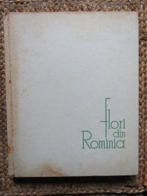 RODICA RARAU BICHICEANU - FLORI DIN ROMANIA foto