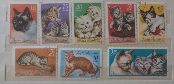 Romania 1965 lp 602 pisici de rasa serie ștampilat