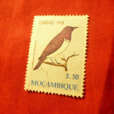 Timbru Mozambic colonie portugheza 1978 ,Pasari - val.2,5E stampilat