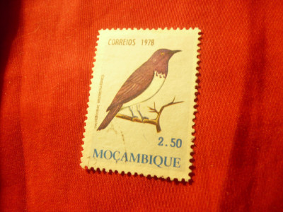 Timbru Mozambic colonie portugheza 1978 ,Pasari - val.2,5E stampilat foto