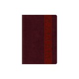 Study Bible-ESV-Large Print Trellis Design
