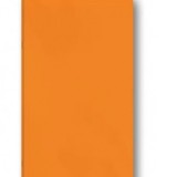 Caiet A4 capsat, 40 file dictando, 60g/mp, PP 280 microni, portocaliu