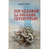 DIN BARAGAN LA COLOANA INFINITULUI-ANDREI NEAGU-246985
