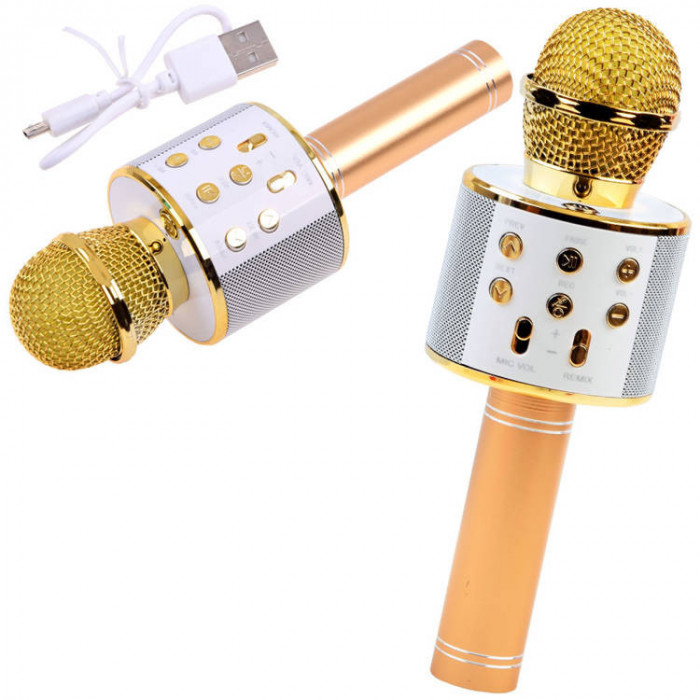 Microfon karaoke fără fir cu microfon IN0136