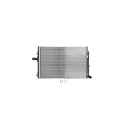 Radiator Apa Seat Altea 5P1 Denso Drm32017 foto