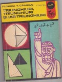 bnk ant Florica T Campan - Triunghiuri , triunghiuri si iar triunghiuri