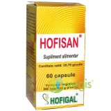 Hofisan 500mg 60cps