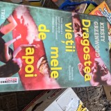 Dragostea vietii mele de apoi - Kirsty Greenwood
