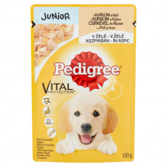 Plic Hrana Umeda pentru Pui de Caini PEDIGREE Junior, Pui si Orez, 100 g, Hrana cu Pui si Orez pentru Pui de Caine, Plic de Carne de Pui si Orez, Carn