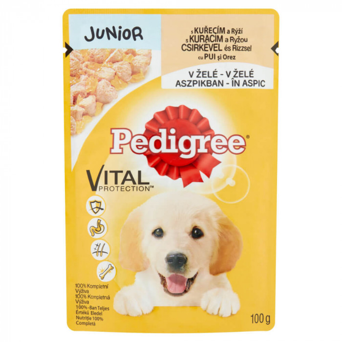 Plic Hrana Umeda pentru Pui de Caini PEDIGREE Junior, Pui si Orez, 100 g, Hrana cu Pui si Orez pentru Pui de Caine, Plic de Carne de Pui si Orez, Carn