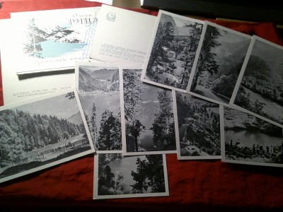 Carnet cu 14 Ilustrate Lacul Ritsa 1955 Abhazia ( Georgia ) + carton explicatii foto