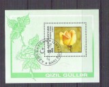 Azerbaijan 1996 Flowers, Roses, perf. sheet, used AB.038