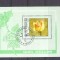 Azerbaijan 1996 Flowers, Roses, perf. sheet, used AB.038