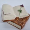 Bibelou RAR - Carti si o floare din portelan romanesc vechi, vintage