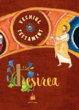 Vechiul Testament. Ieșirea - Hardcover - Ani-Eliza Busuioc - Basilica