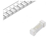 Siguranță &Icirc;nt&acirc;rziere 500mA 250V SMD, Littelfuse
