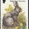 C155 - Alderney 1998 - Fauna neuzat,perfecta stare