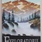 EXPLORATORII , VOLUMUL IV : ULTIMUL PAS IN SALBATICIE de ERIN HUNTER , 2013