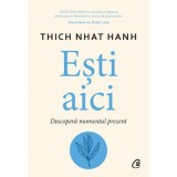 Esti aici. Descopera momentul prezent - Thich Nhat Hanh