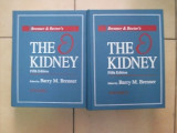 The Kidney Vol. 1-2 - Barry M. Brenner ,550474