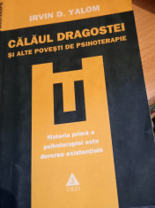 CALAUL DRAGOSTEI IRVIN D. YALOM foto