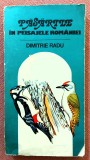 Pasarile in peisajele Romaniei. Editura Sport-Turism, 1984 - Dimitrie Radu