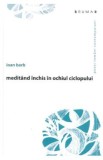 Meditand inchis in ochiul ciclopului - Ioan Barb