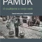 O ciudatenie a mintii mele &ndash; Orhan Pamuk