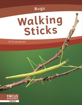 Walking Sticks foto