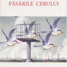 AMS - VASILE ANDRU - PASARILE CERULUI (CU AUTOGRAF PENTRU CARMEN STEICIUC)