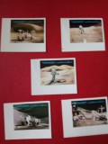 AJMAN, SPACE - 5 VALORI MNH IMPERF., Nestampilat
