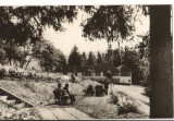 CPIB 15820 CARTE POSTALA - VEDERE DIN BAZNA