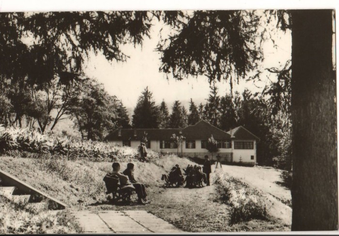 CPIB 15820 CARTE POSTALA - VEDERE DIN BAZNA