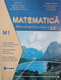 Matematica M1. Manual pentru clasa a XII-a - Ion D. Ion, Adrian P. Ghioca (numeroase sublinieri)