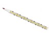 Bandă LED alb rece 24V 120 LED/m IP20