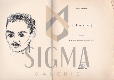 BRANCUSI- POEME foto