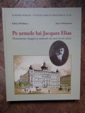 Pe urmele lui Jacques Elias. Documente, imagini si marturii ale unei istorii uitate - FELICIA WALDMAN ANCA TUDORANCEA
