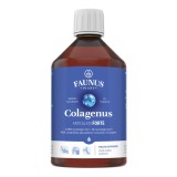Colagen hidrolizat pentru articulatii Colagenus Articulatii Forte, 500ml, Faunus Plant