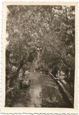 C690 2 fotografii barca pe canal si barza in cuib la Valcov 1939 Basarabia foto