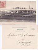 Braila- Familia Regala- clasica,TCV-RR, Circulata, Printata