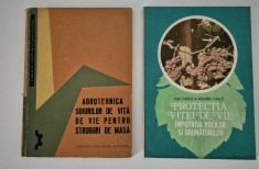 Set carti Viticultura Vita de vie Doua volume