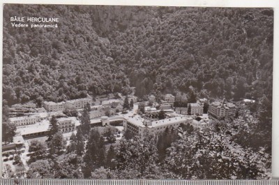 bnk cp Baile Herculane - Vedere panoramica - circulata foto