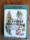 Plantele medicinale, proprietatile lor terapeutice si modul de folosire / R3P1F