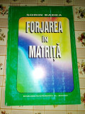 Sorin Badea Forjarea in matrita