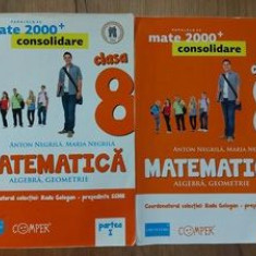 Consolidare Matematica Algebra,geometrie clasa a 8 a Anton Negrila,Maria Negrila