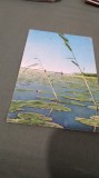 CARTE POSTALA -VEDERE DIN DELTA DUNARII CIRCULATA